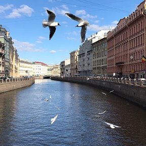 Фотография от Светлана Филатова