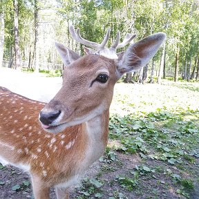 Фотография от Наталья Перетрухина (Шашко)