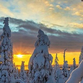 Фотография от Михаил Наталья Викторович Петухов ❤❤