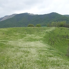 Фотография от Чанавар Муса Мусаев