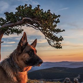 Фотография от Милана Овчинникова