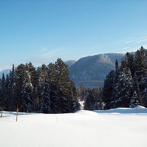 Фотография от Галина Седых