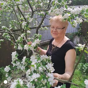 Фотография "яблони нашего сада в цвету"