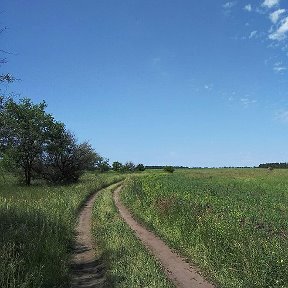 Фотография от Алексей Жуков