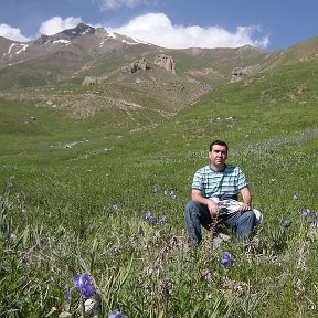 Фотография "Анзоб.Долина ирисов.3200м. июнь 2008"