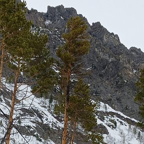 Фотография от Сергей александрович