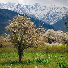 Фотография от Фарида фари