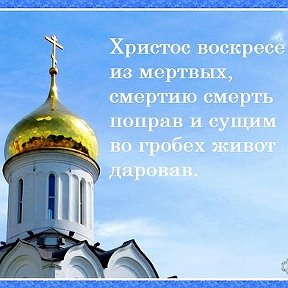 Фотография от Алексей Комаровский