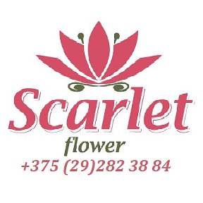 Фотография от Scarlet Flower