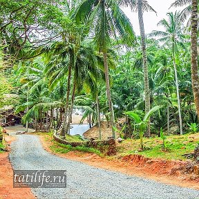 Фотография "https://www.instagram.com/p/Blk7bMoAqNd/?igref=okru
Geography
Location: Andaman Sea
Coordinates: 7°53′24″N 98°23′54″E
Area: 576 km2 (222 sq mi)
Length: 50 km (31 mi)
Width: 20 km (12 mi)
Highest elevation: 529 m (1,736 ft)
Highest point: Khao Mai Thao Sip Song
Administration: Thailand
Demographics:
Population 386,605 (2015)
Pop. density 1,042 /km2 (2,699 /sq mi) 
#tatiliferu #phuket #thailand #asia #sea #sun #comment4comment #beach #travel #tbt #ocean #palms #nice #beautiful #infinity #lik #beautiful #lfl #travelgram #instalike #instacool #fun #lake #lukehemmings #feelgood #feel #life #live #cfc #happy"