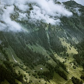 Фотография от АЛЕКСЕЙ КАНДАУРОВ