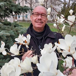 Фотография "Так цветет магнолия в Анапе."