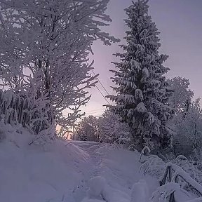 Фотография от Татьяна Соколова