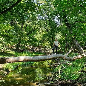 Фотография от Сергей Романович