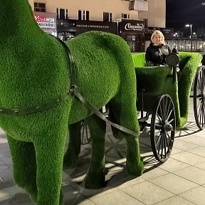 Фотография от Елена Шепелева