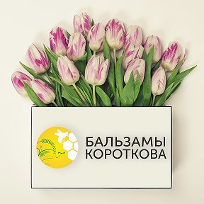 Фотография от Анастасия Бальзамы Короткова