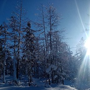 Фотография от Василий Шукшин