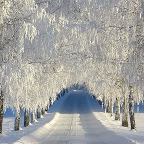 Фотография от ((( Айгуль )))