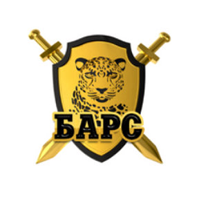 Логотип Барс СГУ