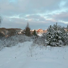 Фотография от Юрий Тильки