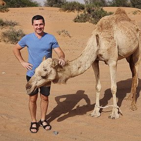 Фотография от Андрей Сумароков