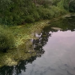 Фотография от Солнце Солнечное