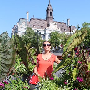 Фотография "Old Port, Montreal"