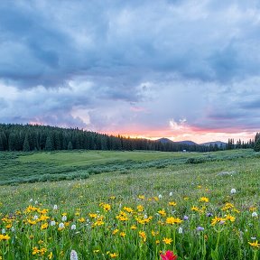 Фотография от Светлана Масленникова(Корсакова)