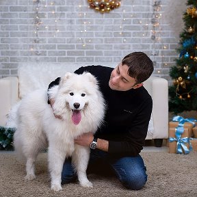 Фотография "Новогодние съемки. На фото самая позитивная собака Гера :) 
Фото сделано в студии Клюква"