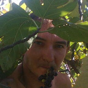 Фотография "Абалденный виноград"