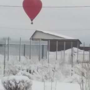 Фотография от галина новгородова