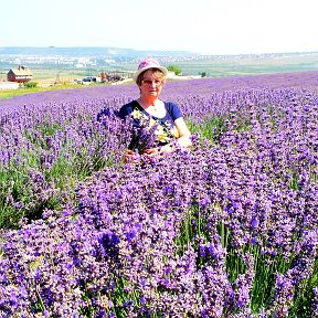 Фотография "У лаванды сиреневый цвет, у крымских гор она растет безбрежными полями! Бахчисарайский р-н, Крым"