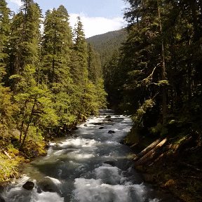 Фотография от Альбина Свиридова (Дейкун)