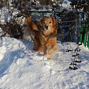 Фотография от Оксана Чукляева