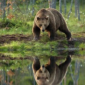 Фотография от Александр Григорьевич