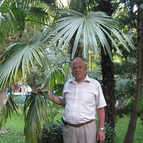 Фотография от Алексей Торгонский