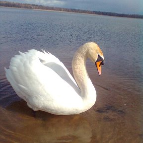 Фотография от Юрий Аврукевич