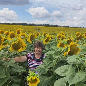 Фотография от Людмила Бодякина (Холоденкова)