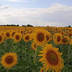 Фотография от Наташа Кобец