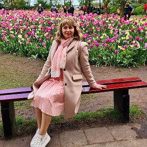 Фотография "Голландия, парк тюльпанов .(Keukenhof)🌷🌷🌷 "