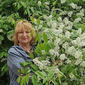 Фотография от Ирина Хальченко\Гайнюченко