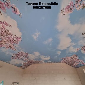 Фотография от Tavane Extensibile 3D 069287088