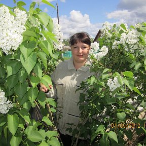 Фотография от Наталья Каширова( Соколова)