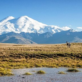 Фотография от николай юрченко