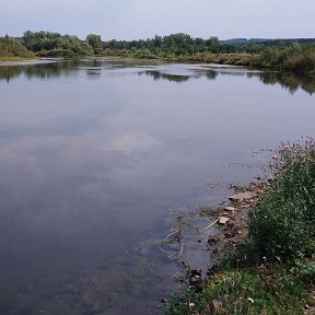 Фотография от Алексей Сухарев