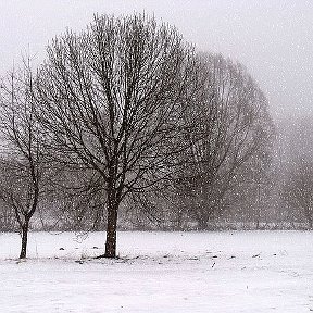 Фотография от Полина Лебедева