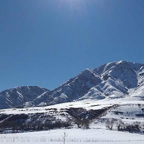 Фотография от Сергей Жигулин