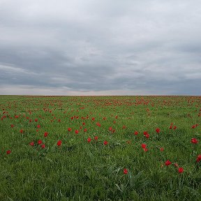 Фотография от Иван Салынов