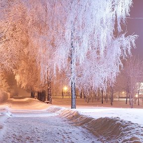 Фотография от елена романова