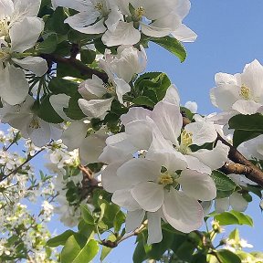 Фотография от Галина ❀ღ❀